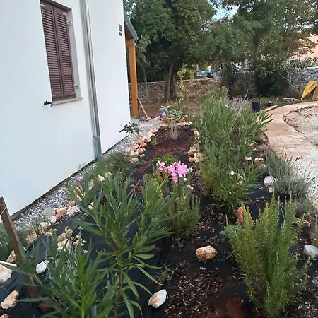 Апартаменты Botanica Бале